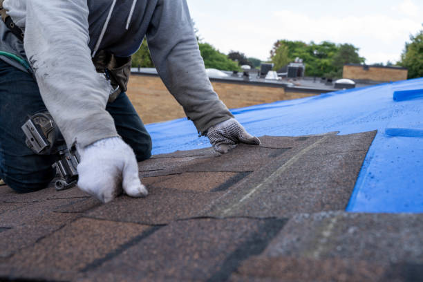 Roof Repair Estimates in St Matthews, KY